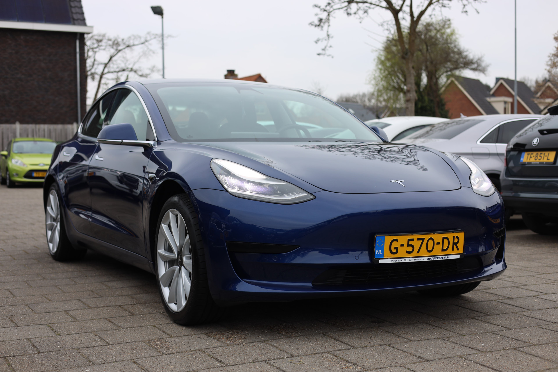 43817678-1.jpg
