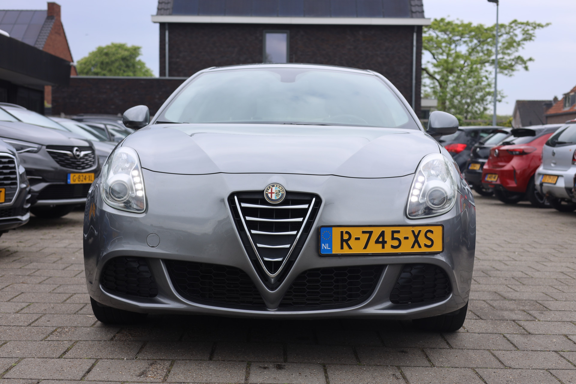 44431597-1.jpg