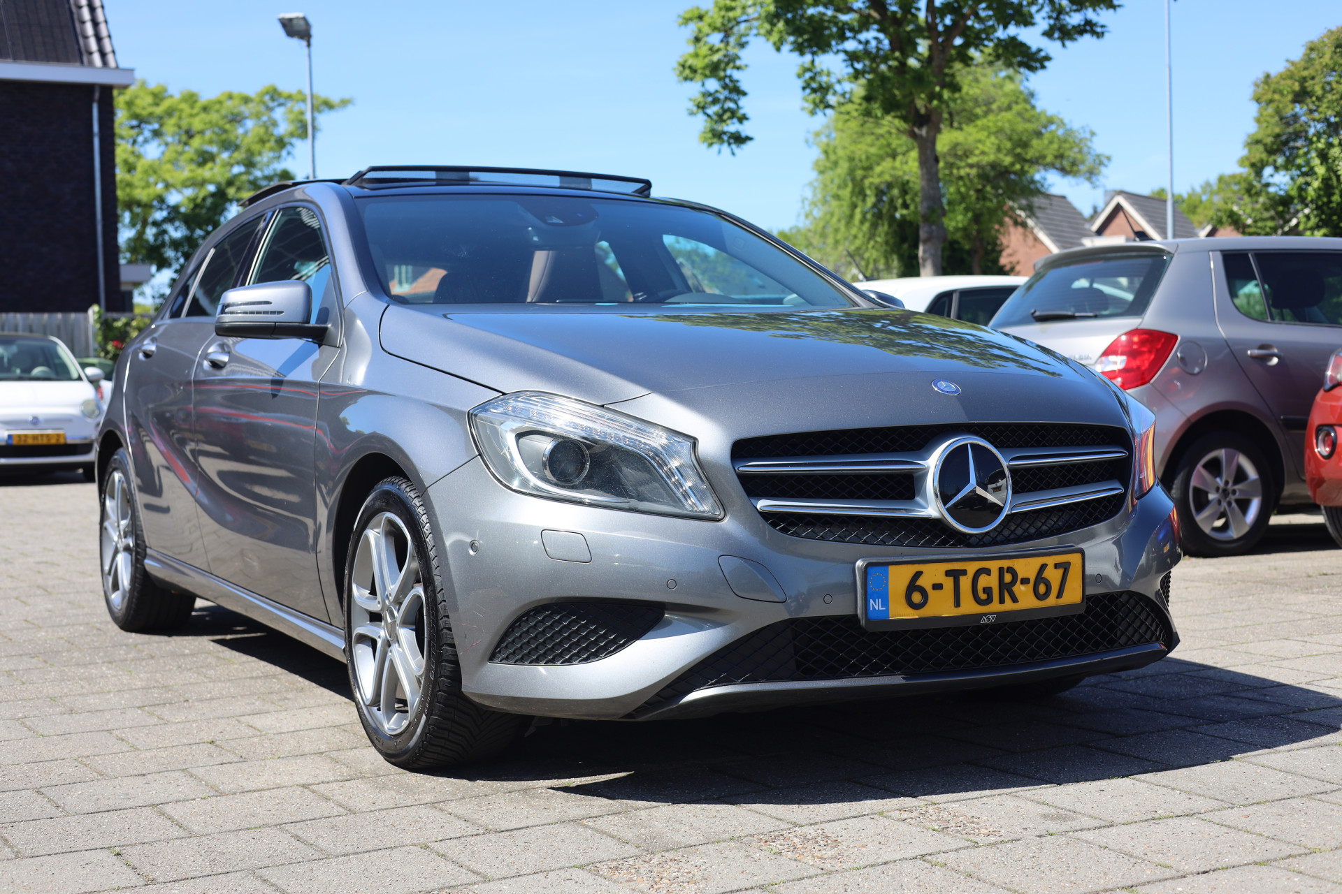 44561639-1.jpg
