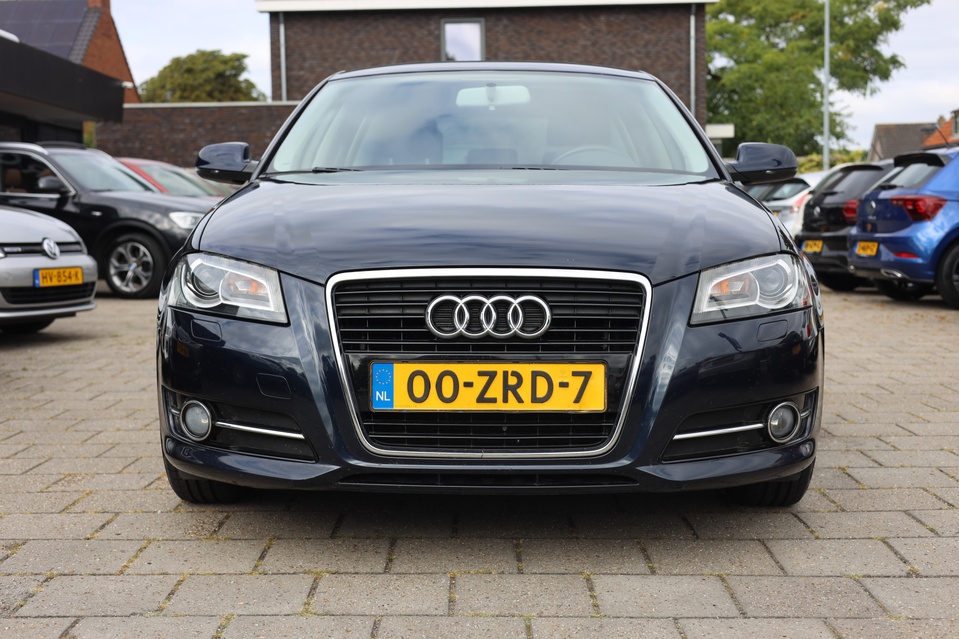 47087543-1.jpg