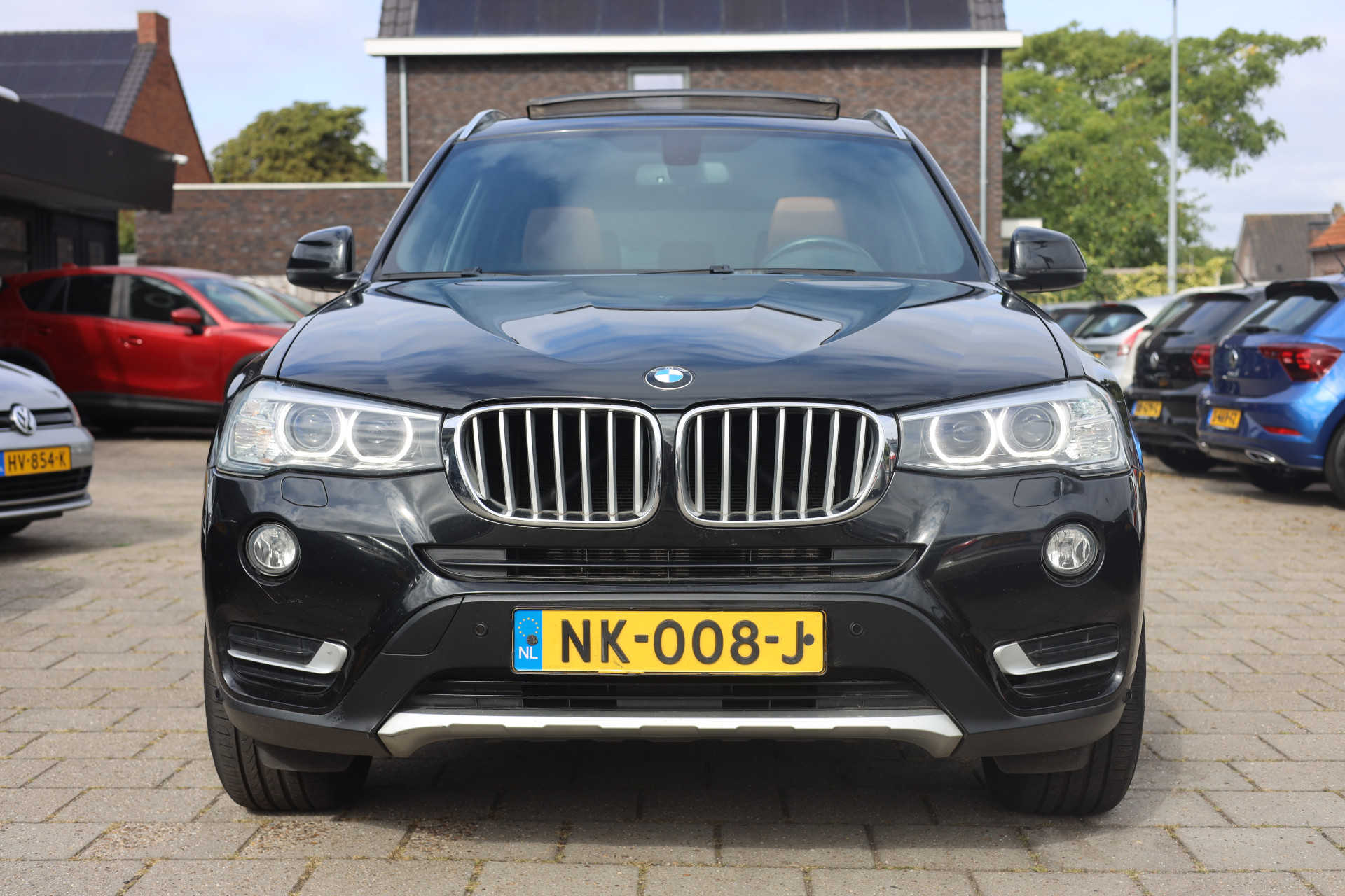 47161912-1.jpg