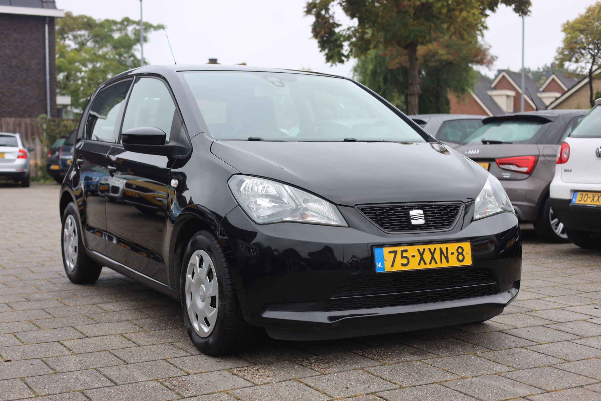 47735103-1.jpg