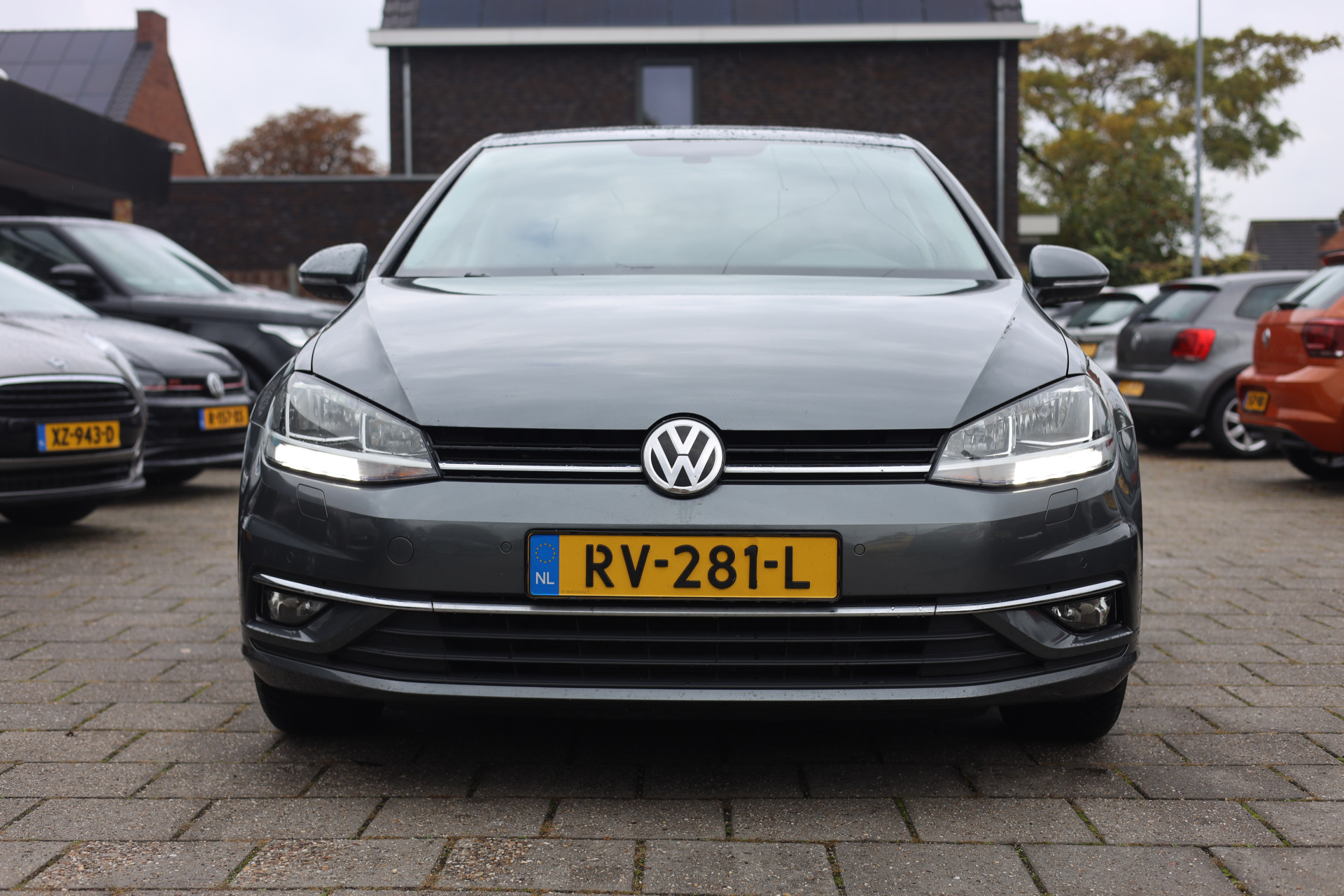 48559777-3.jpg