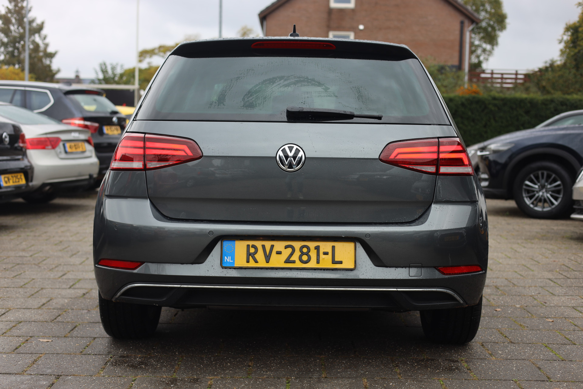 48559777-5.jpg
