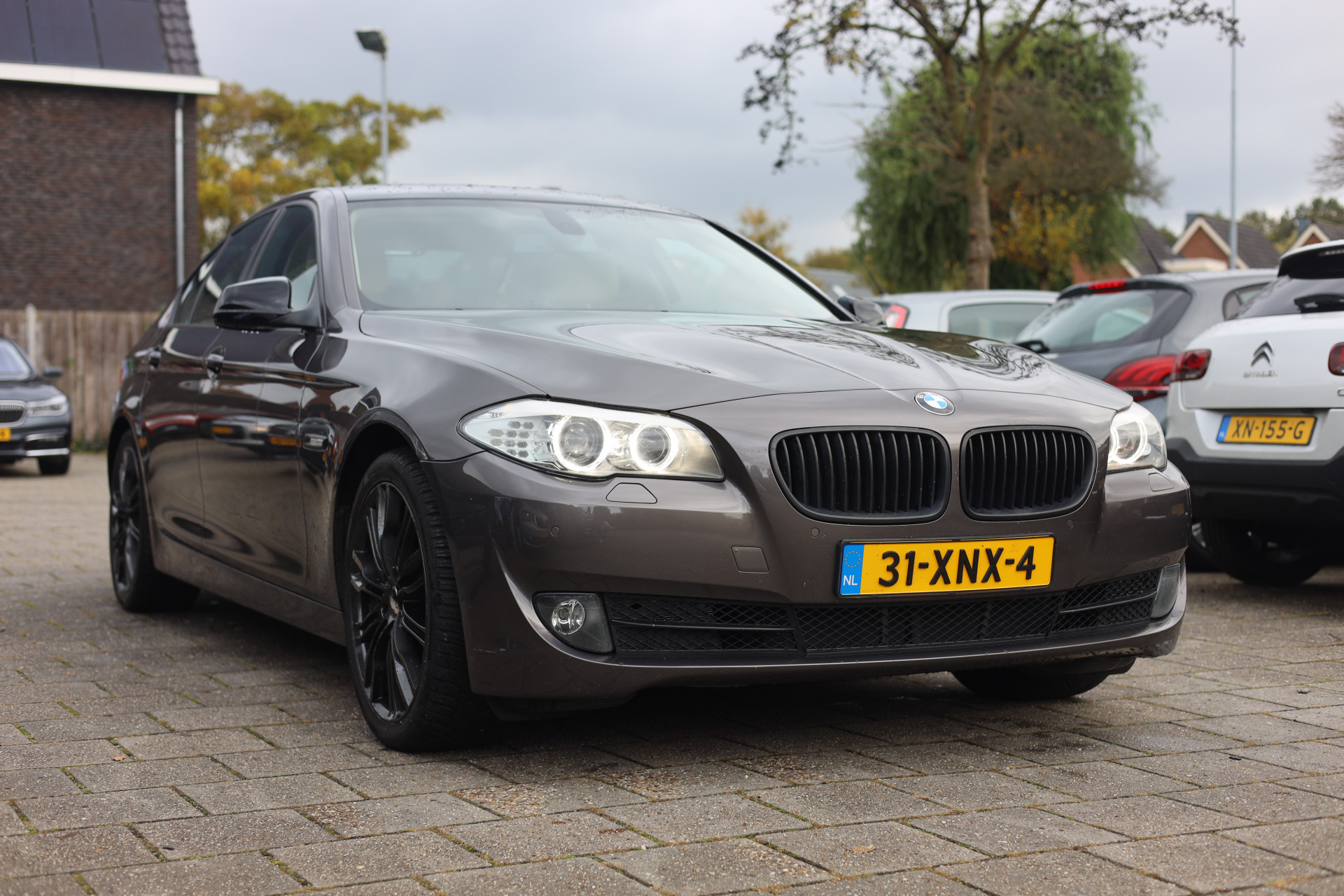 48562394-3.jpg